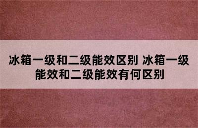 冰箱一级和二级能效区别 冰箱一级能效和二级能效有何区别